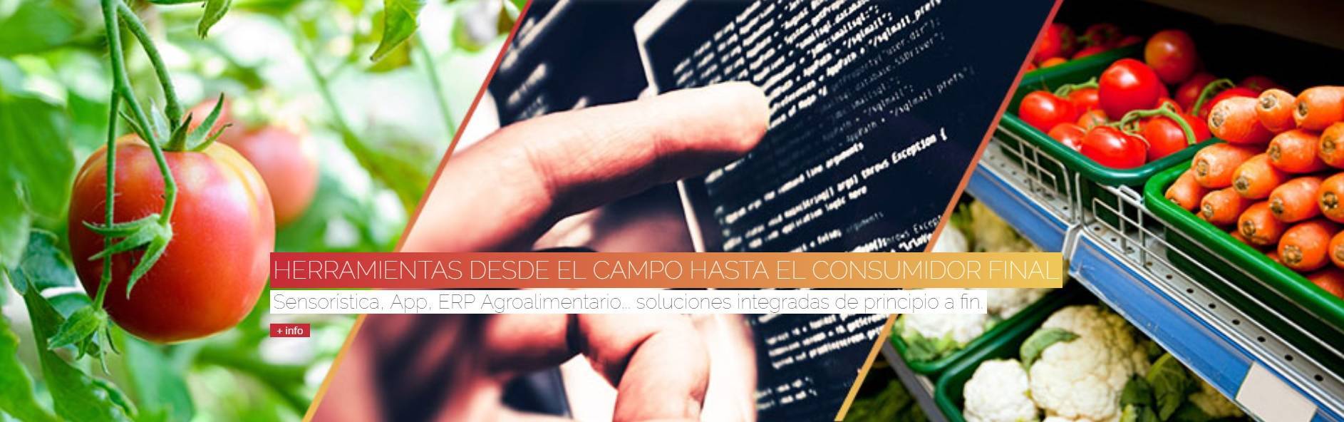 tics hispatec|spraying-sugar-cane-2746350_960_720